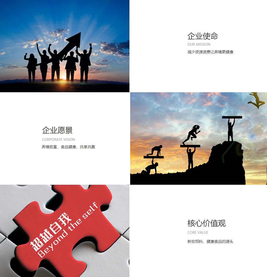 東莞市華益包裝有限公司企業(yè)文化展示