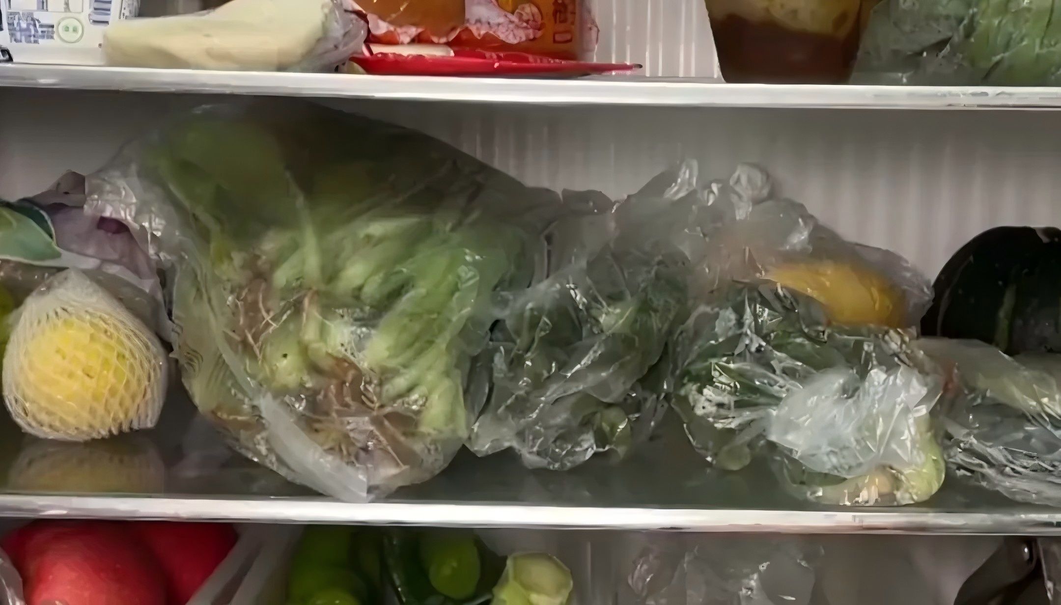  選擇完美食品儲(chǔ)藏袋，讓您的食材新鮮更持久(圖7)