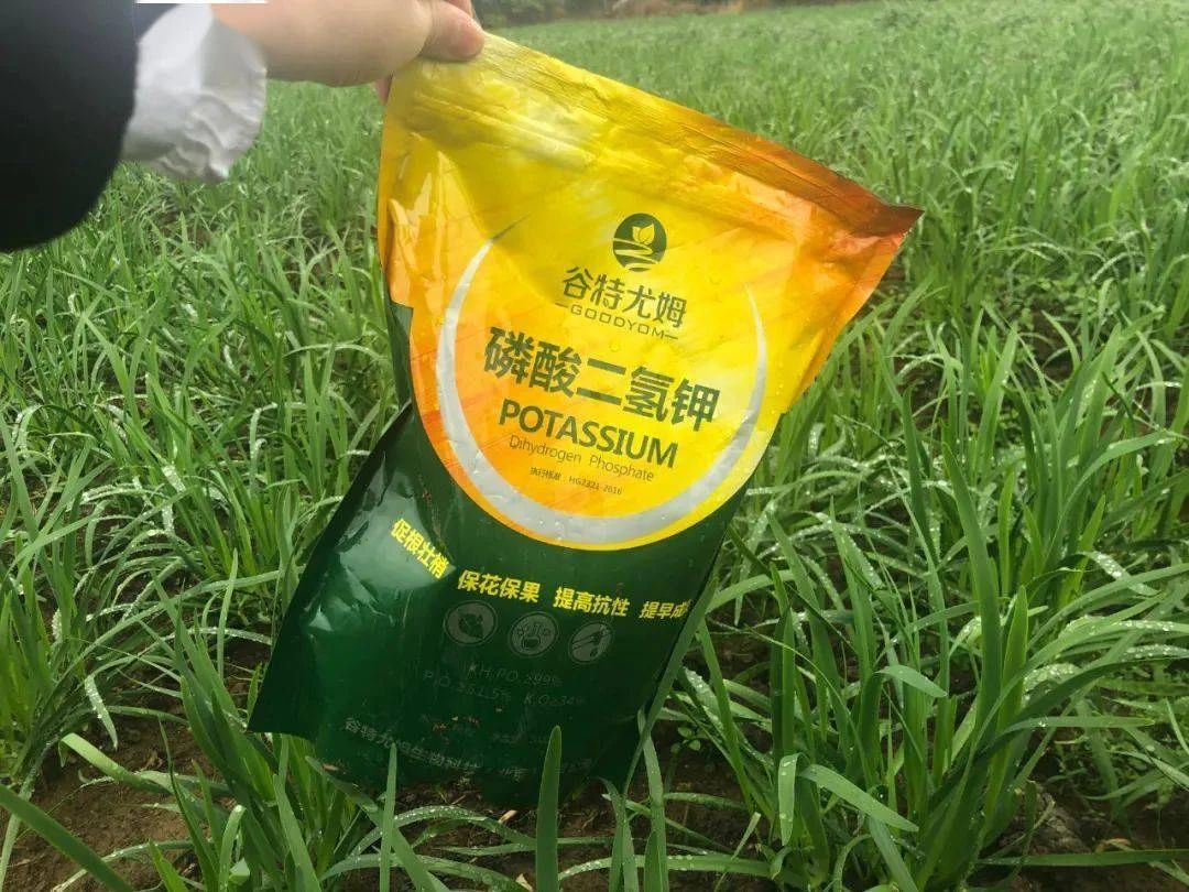 小農(nóng)戶與天然品牌煥新升級的智慧之選(圖1)
