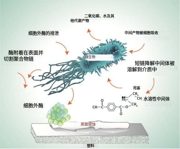 PLA、PBAT、淀粉基等生物降解材料性能對比示意圖