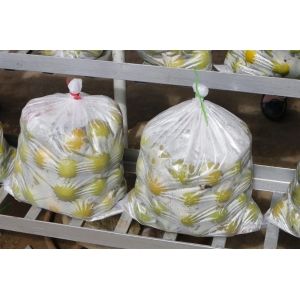 利用氣調(diào)包裝提高新鮮果蔬的品質(zhì)