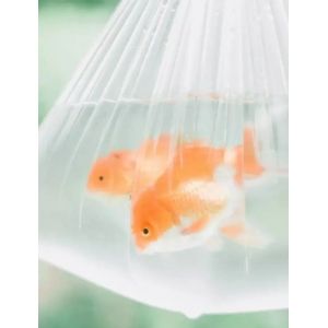 超市塑料袋隱藏的大學問！4招教你辨別食品級環(huán)保袋（附居家檢測攻略）